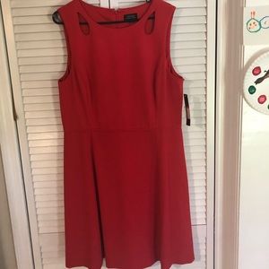 Tahari Dresses - NWT beautiful Tahari sleeveless dress 16 Tahari Dresses - NWT beautiful Tahari sleeveless dress 16
